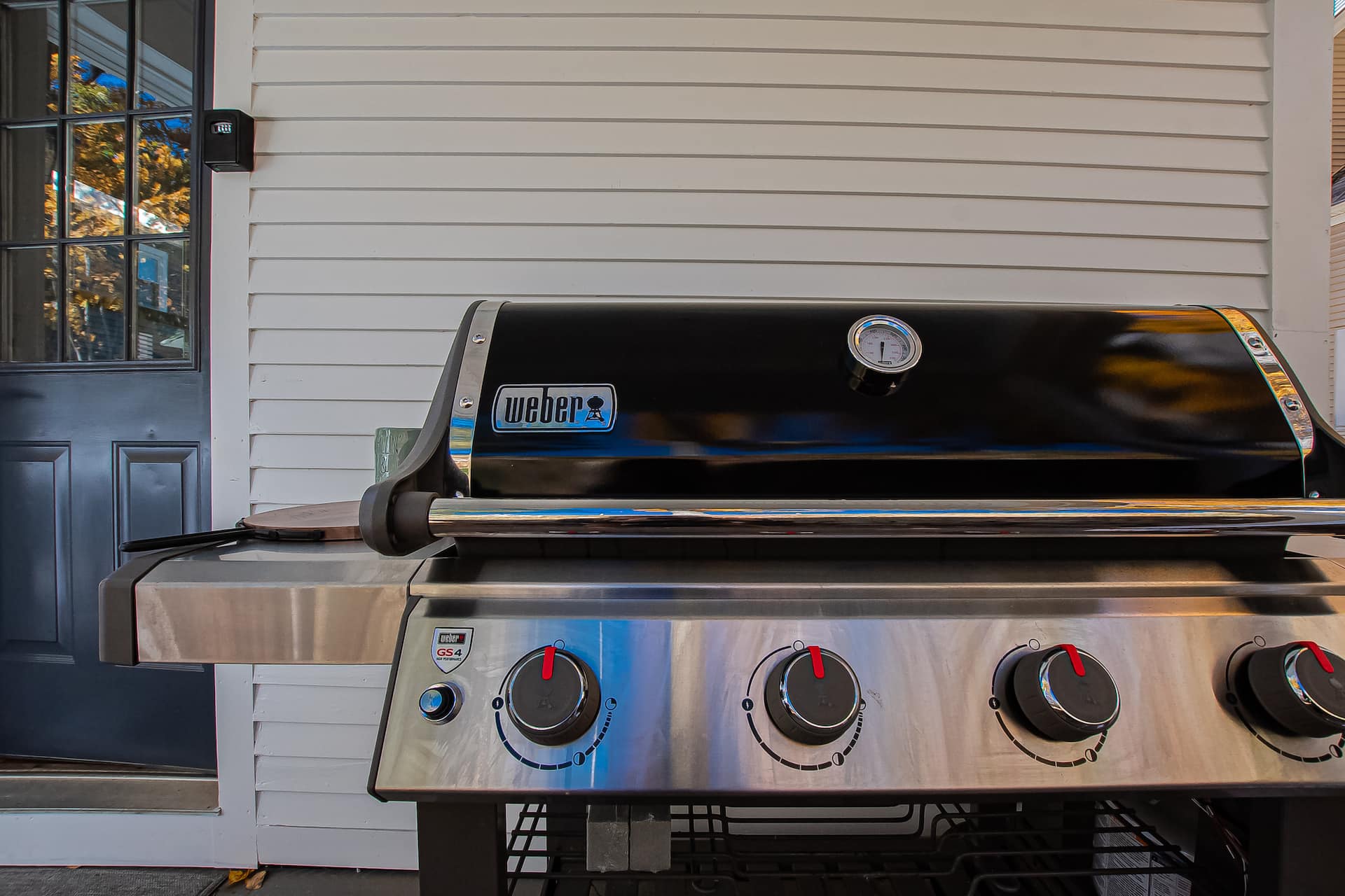 Weber Genesis II gas grill